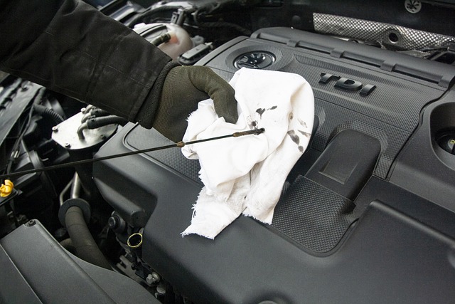 Photo of an inner engine cover of a sports motorbike.